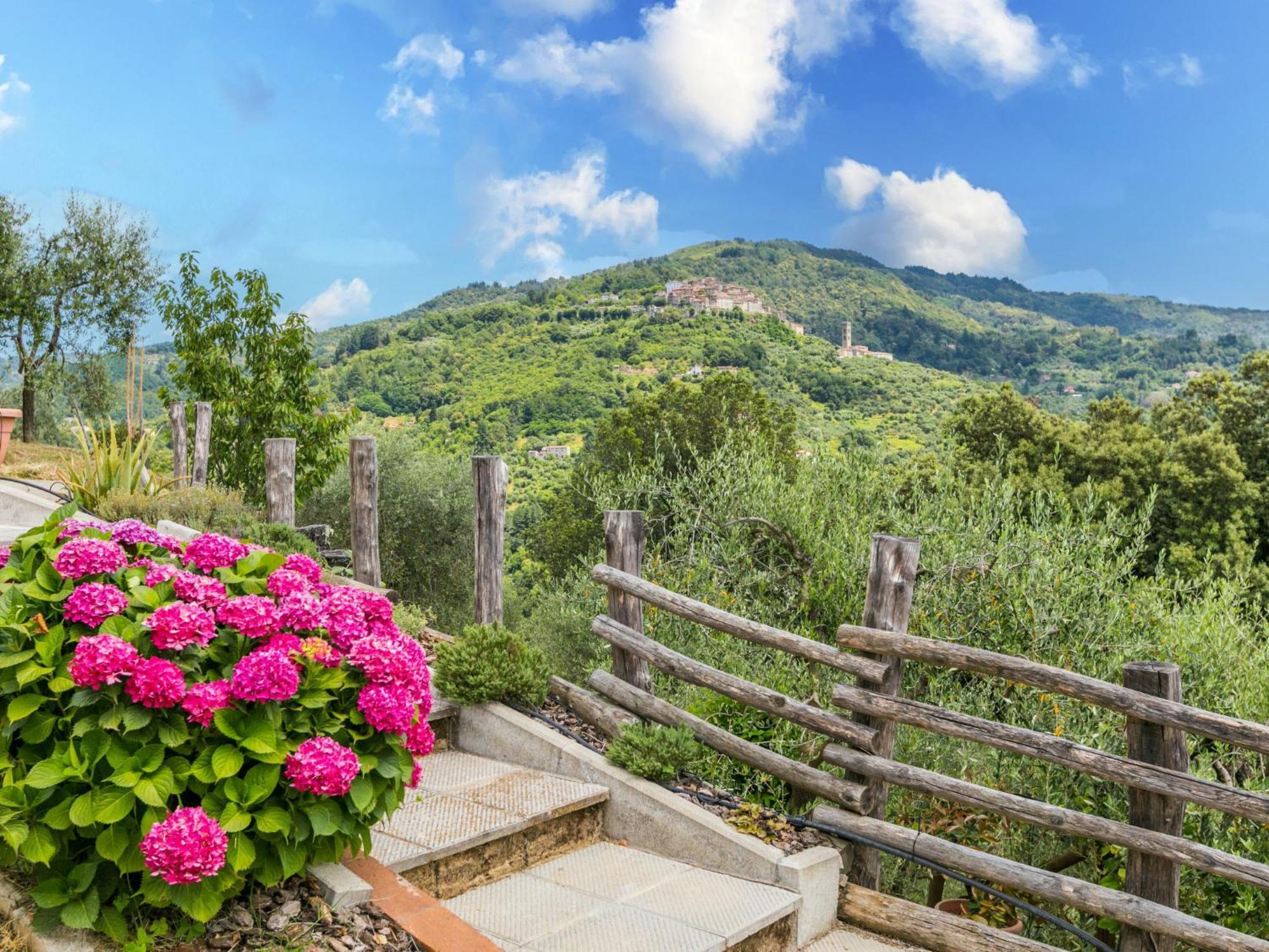 Holiday Home Poggetto Pellegrini By Interhome Vellano Buitenkant foto