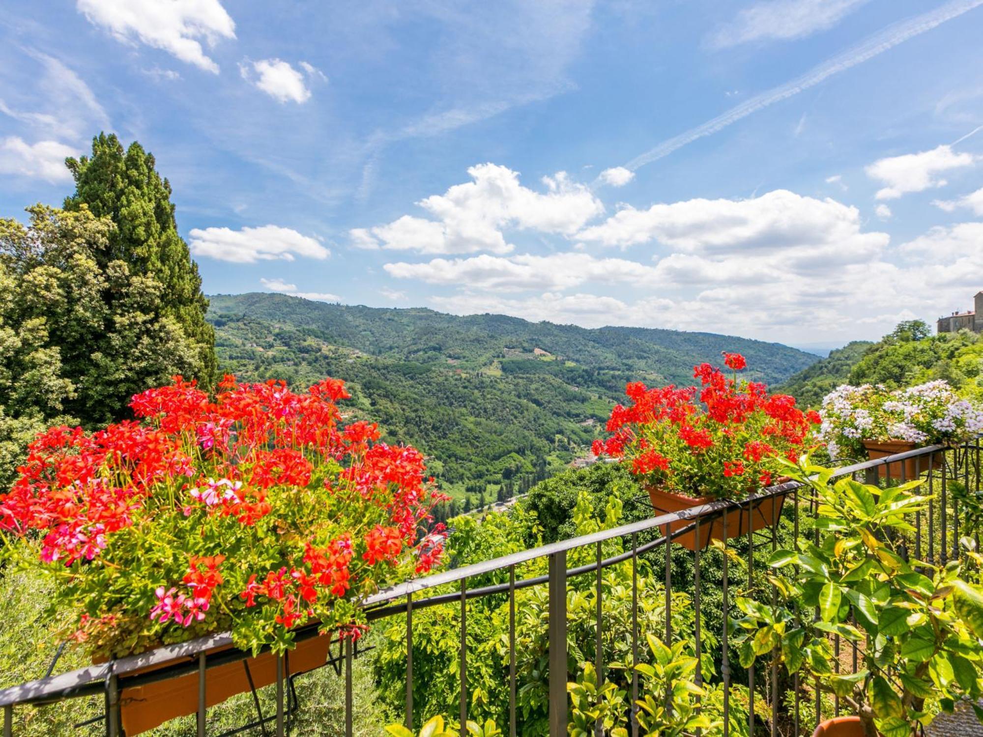 Holiday Home Poggetto Pellegrini By Interhome Vellano Buitenkant foto